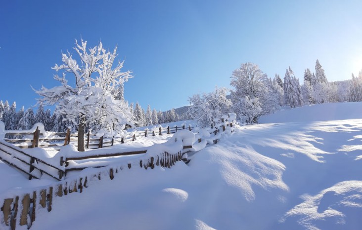 Winter am ZwisleggGut