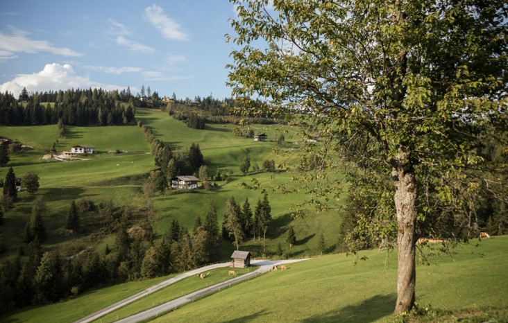 Rund ums ZwisleggGut gibt es schöne Spazierwege © Selina Flasch
