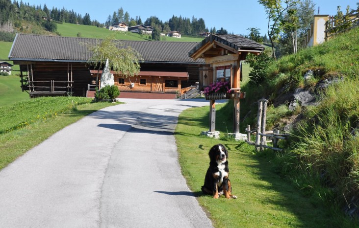 Romy freut sich auf Besuch am Zwislegggut