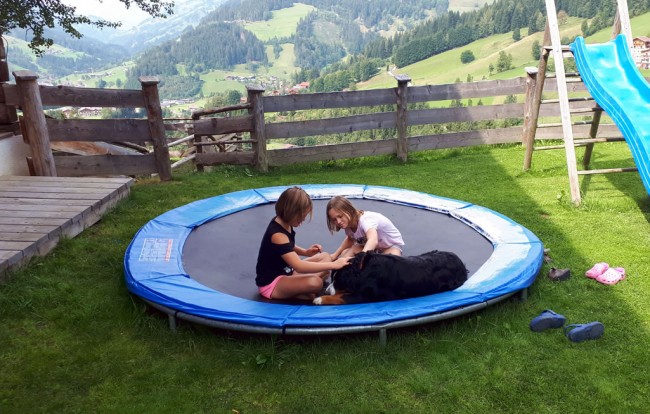 Kinder am Spielplatz mit Trampolin mit unserem Hund