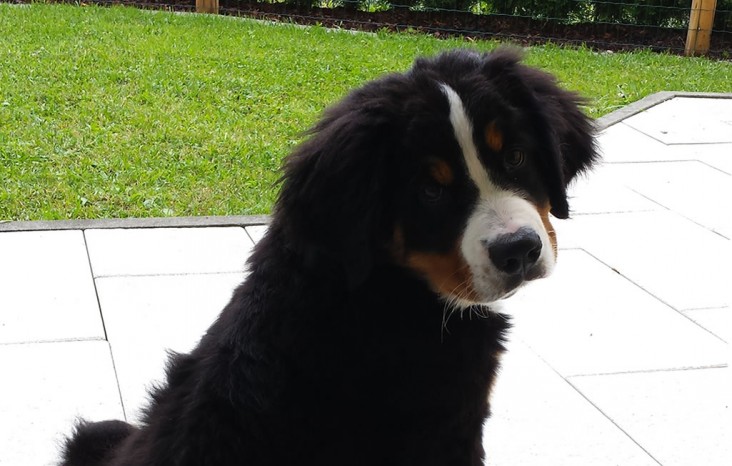 Unsere kleine Nala