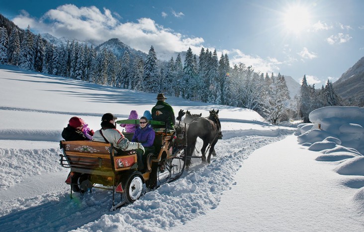 Pferdeschlittenfahrten durch die verschneite Natur - ein wahres Erlebnis © Michael Gruber